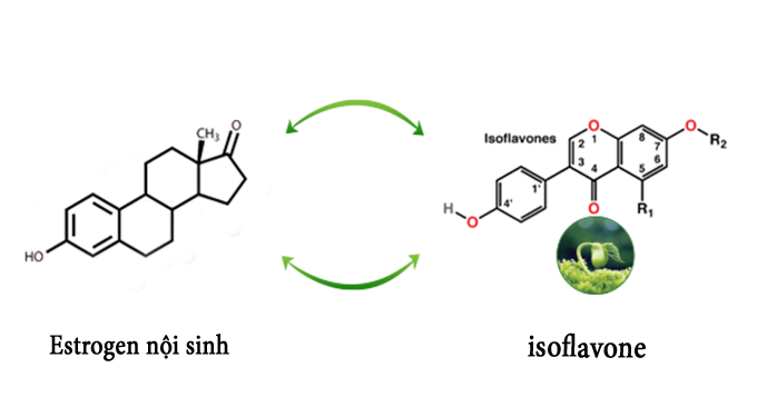 nano isoflavone có trong flagold có tốt không, flagold nano isoflavon, nano isoflavone có trong flagold không, tác dụng của nano isoflavone trong flagold